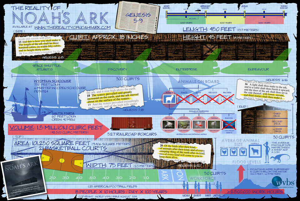 Infographic from Collector's Edition DVD Box